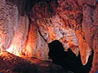 Kawiti Glow worm caves